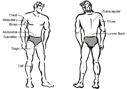 http://www.linear-software.com/images/man_body_fat_diagram.gif